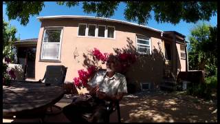 De Sal Edit of LRDP film speaking for the trees