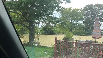 Replacing the Power Mirror Control Switch in a 1998 Chevy Blazer