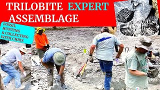 Trilobite Expert Assemblage.  Fossil Hunting and Fossil Collecting with Chris. Fossils