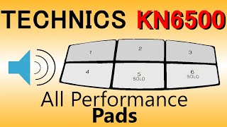 Technics KN6500 All Performance PADS (KN Keyboard Arranger)
