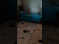 VOVÓ!!!!!!!!!!!