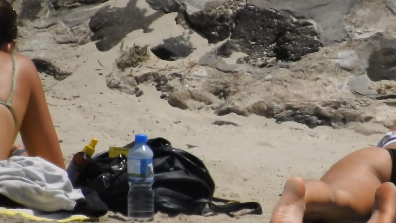 Zoom Test Summer With Nikon Coolpix P900 Youtube Zoom Test Summer With Nikon Coolpix P900 Youtube