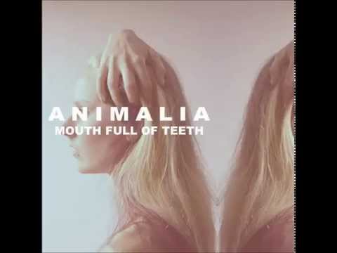Animalia - Firebug