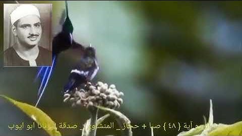 الله الذي يرسل الرياح فتثير سحابا_ سورة الروم _ آية { ٤٨ } المنشاوي