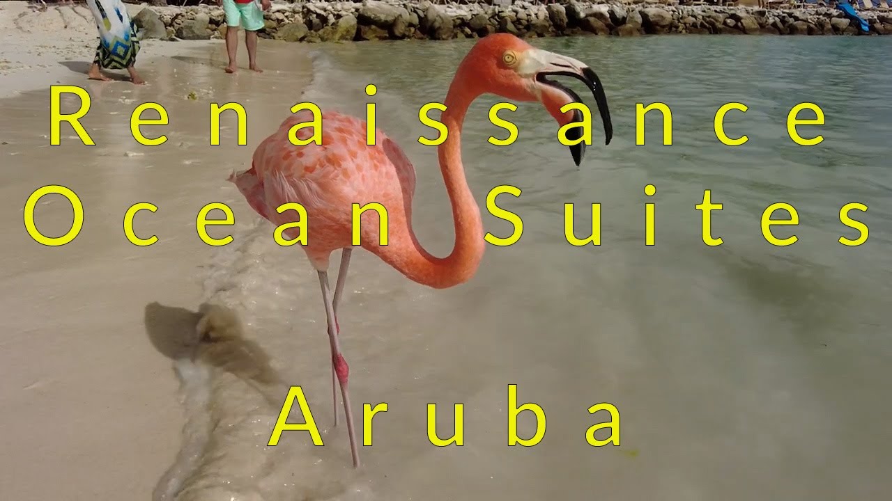 Renaissance Aruba Ocean Suites - Hotel Review