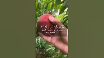 { من عمل صالحا من ذكر أو أنثى وهو مؤمن فلنحيينه حياة طيبة }  [سورة النحل: 97] القارئ ياسر الدوسري