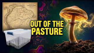 Terence McKenna & The Amazonian Genesis: From Pastures to Closets | Wonder Fungi