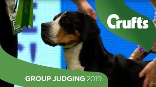 Working Group Judging And Presentation | Crufts 2019