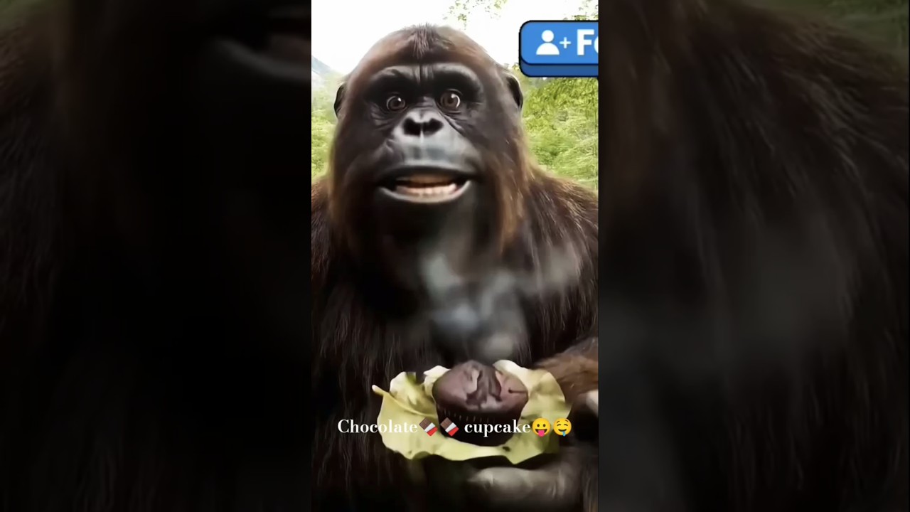 🐒Chimp Chef Bakes the Best Chocolate Cake! 🎂 