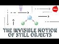 The invisible motion of still objects - Ran Tivony