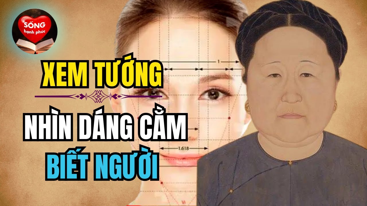 tướng cằm | xem tướng cằm | nhìn cằm đoán tướng |xem tướng | tướng số   số mệnh | vận mệnh đời người - youtube