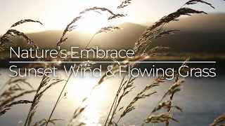 Nature’s Embrace - Sunset, Wind & Flowing Grass
