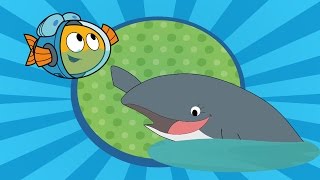 Peixonauta, O Caso Do Pequeno, Grande Amigo