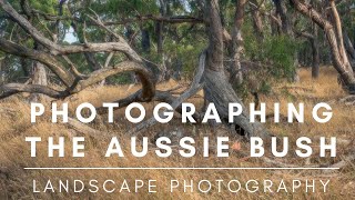 Landscape Photography | The Australian Bush.