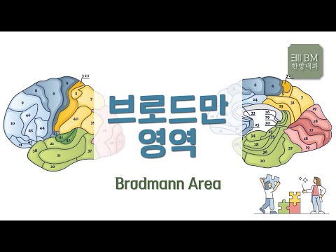 [제259회][2021.9.7] 브로드만 영역 Brodmann Area [대구 BM한방내과]