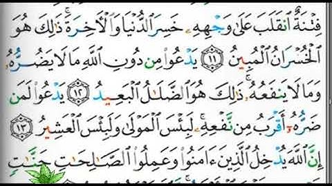 مصحف التجويد صفحة 333                               ابراهيم الأخضر