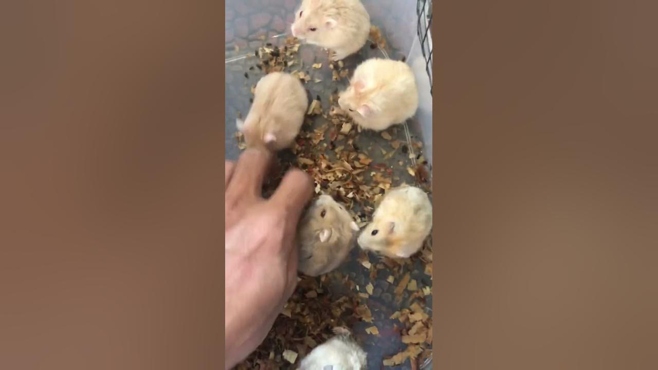 Water Bottle leaking YouTube