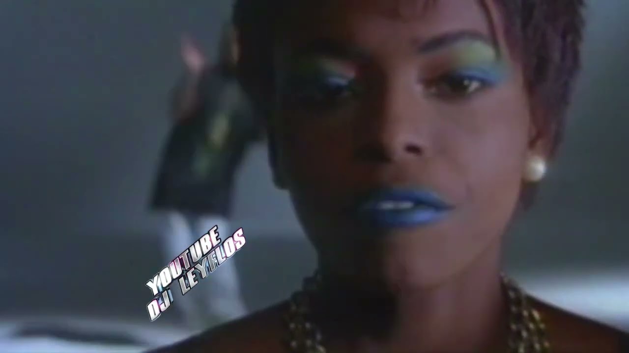 VIDEO MIX MEGA  HOUSE 90S  DANCE # 95  BY  DJ LEYFLOS .