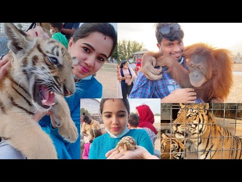 The Zoo Wild Life Park in umm al quwain/zoo in UAE/Umm al Quwain zoo/Travel with Achu