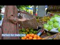 Video Image