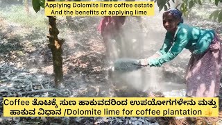 Coffee ತೊಟಕ್ಕೆ ಸುಣ ಹಾಕುವದರಿಂದ ಉಪಯೋಗಗಳೇನು ಮತ್ತು ಹಾಕುವ ವಿಧಾನ /Dolomite lime for coffee plantation 👍
