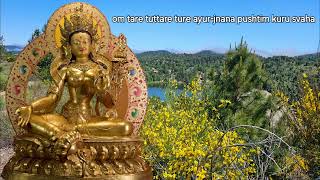 Usnishavijaya Complete Victory Long Life Sanskrit Mantra: 4th Yellow Tara of 21 Taras Namgyalma