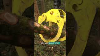 Starkholzernte im Steilhang 💪 Pm Trac 3825 mit Forstkran, Forstseilwinde im Extremeinsatz #pfanzelt