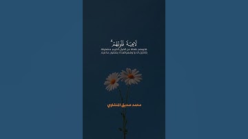 محمد صديق المنشاوي | سورة الأنبياء ❤️‍🩹🌿
