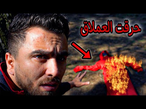 حرقت العملاق الاحمر والكلاب تأكل الساحرة
