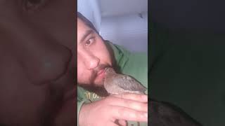 كيف تسقي زغلول اليمام/عادل السهلي