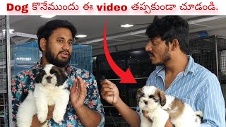 How to take care of a puppy / most popular dog breeds / dog breeds full information / GODUGU KALYAN