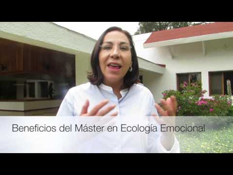 Beneficios del Máster en Ecología Emocional hqdefault