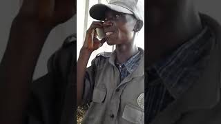 Cona da yola