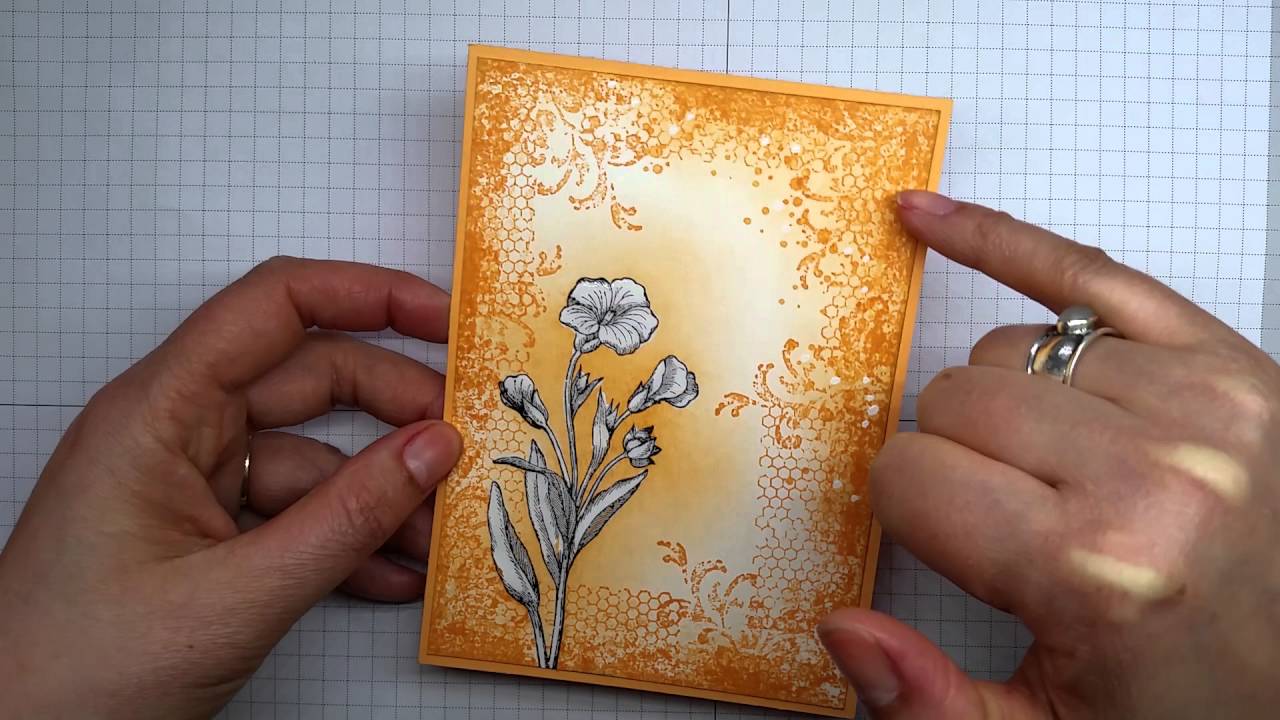 {In colour 2016 - 2018 comparison by Artful StampinPeekaboo Peach} stamping ground ky