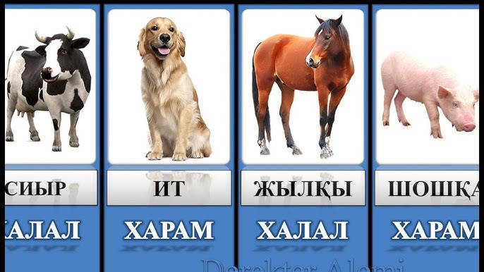 Infinity жалаңаш тобы