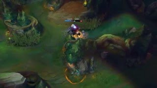 Alistar flash juke