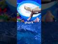 Foamy Fun | Sea Animal Names for Kids to Learn with Toys: Boxfish Octopus Polar Bear Pufferfish