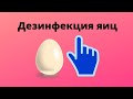 Дезинфекция яиц для инкубации