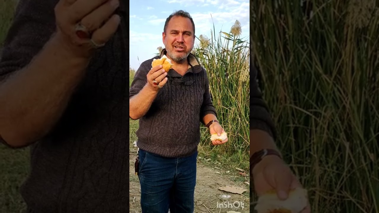 Adana balık avı karataş