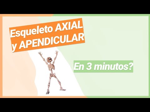Vídeo: Diferencia Entre Axial Y Apendicular