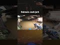 Daimaru Jack jerk