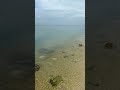 Pulau lima