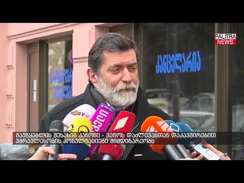 ვეტოს დაძლევასთან დაკავშირებით უმრავლესობის კონულტაციები მიმდინარეობს