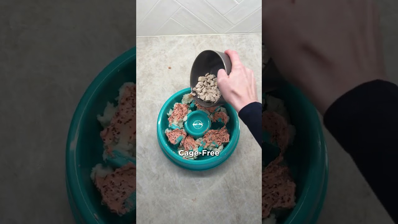 What if I made a Donut dog bowl? #DogFood