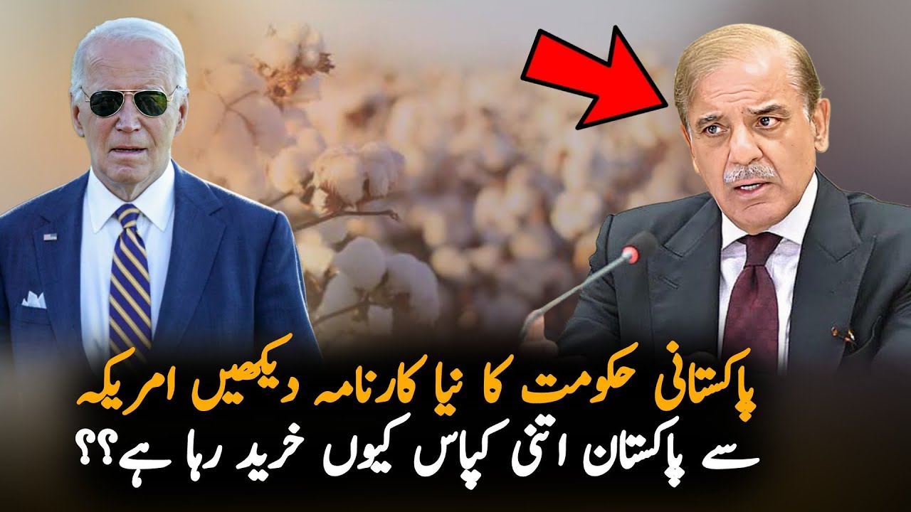 Pakistan Import Big Amount Of Cotton From America, Report | Pak News | PTI News Report