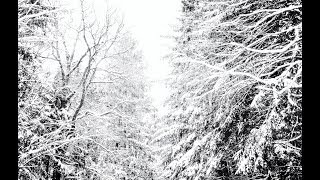 Kulpeo - Just A Phase Audio