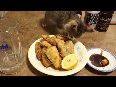 「ムロアジ釣って食べるぞ」 in 八丈島