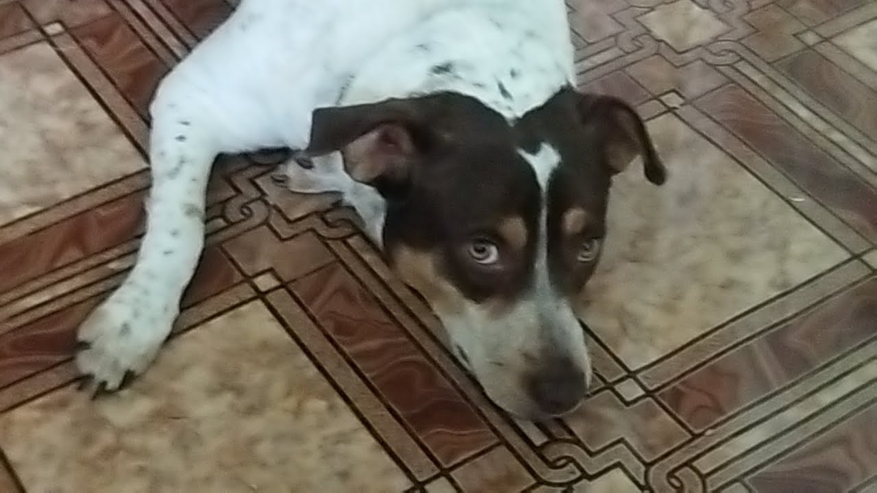 Куба, Любовь моя, видишь : идëт Барбудас - YouTube