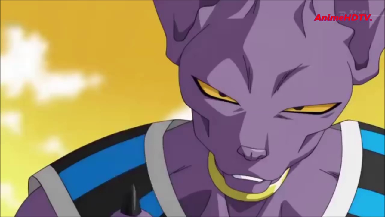 Lord Beerus in ActionDragon ball super YouTube