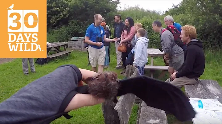 Day 13 - 30 Days Wild - Tracking bats with RSPB // Absolute Nature